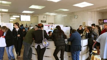 La bacteria asesina, el último pero no el único caso de psicosis sanjuanina