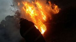 Le prendieron fuego a un basural y mataron un caballo Le prendieron fuego a un basural y mataron un caballo