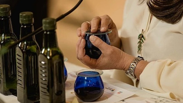 Uno por uno, los mejores Aceites Virgen Extra de los concursos del ArgOliva 2024