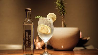 ‘500 noches gin’: la nueva exquisitez sanjuanina con una obviedad y varios secretos ‘500 noches gin’: la nueva exquisitez sanjuanina con una obviedad y varios secretos