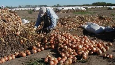 El ministerio de Producción va a 9 de Julio