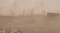 En videos, así llegó el viento Zonda a Iglesia En videos, así llegó el viento Zonda a Iglesia