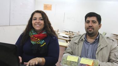 Transformaron una heladera vieja y producen brotes orgánicos