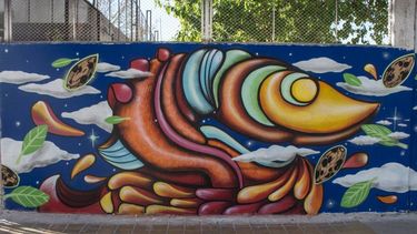 Capital quedó maaansa tras el Encuentro de Muralistas