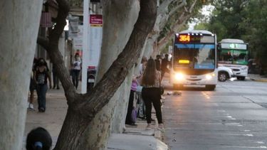 Pensando en el inicio de clases, cambian 31 líneas de Red Tulum: los nuevos recorridos