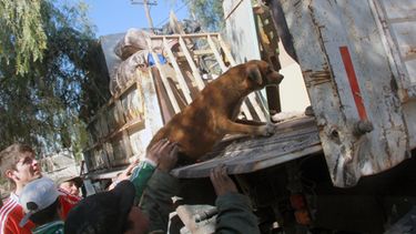 Erradicaron una nueva villa y 161 familias tienen nuevo hogar