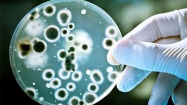 Qué es la diarrea viral, la enfermedad que causó un brote de contagios en una de las playas de Brasil más visitadas por los argentinos