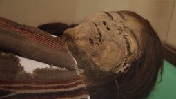 Patrimonio científico versus derechos de pueblos originarios