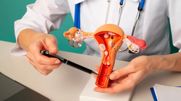 Realizarán en San Juan una caminata por el Día Mundial de Prevención del Cáncer de Cuello Uterino.