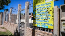 Morir aplastado por un árbol: un barrio atravesado por el dolor y el espanto