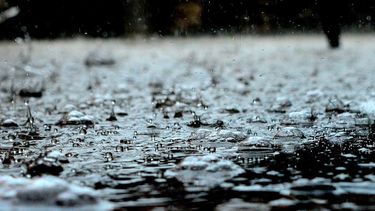 ¿De verdad llega la lluvia?: mirá qué dice el pronóstico del SMN