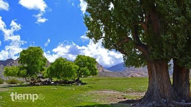 Para seducir a los sanjuaninos, qué ofrecen las agencias de viajes y cómo se la rebuscan para sobrevivir