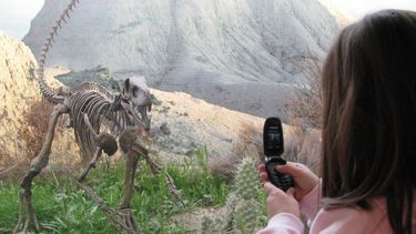 Mirá todo lo que podés hacer este fin de semana