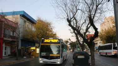 ¿Se reduce la circulación de los colectivos en San Juan? La medida nacional que se analiza en la provincia