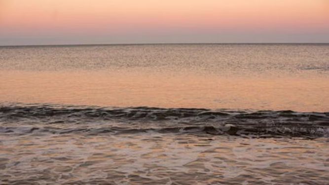 Advierten que la acidez del mar aumenta más rápido de lo previsto y pone en riesgo la vida marina