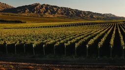 Vuelta al turismo en San Juan: los 4 tapados y una perlita