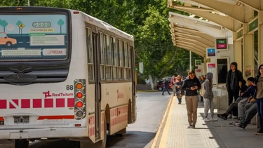 Tras los reclamos por el pedido de credenciales a los alumnos en los colectivos, qué medida tomó Transporte