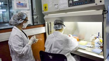 ¿La variante Ómicron llegó a San Juan?, envían muestras de posibles casos al Instituto Malbrán