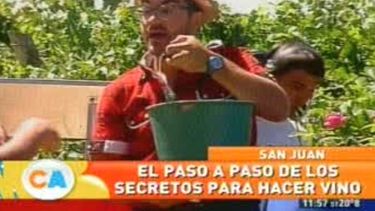 El paso a paso de la elaboración del vino en la TV Pública