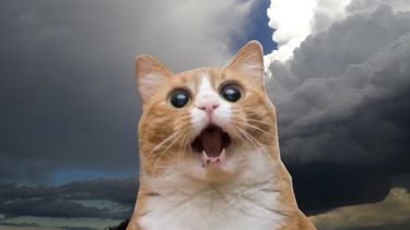 ¿Es joda? Calor extremo, viento Sur muy fuerte y lluvia este fin de semana en San Juan