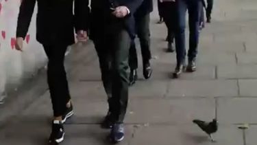 Escándalo real: mirá qué presidente y su esposa fueron en zapatillas al velorio de Isabel II