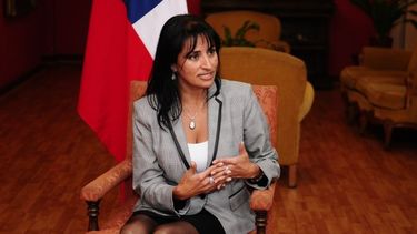 Integración bionacional: Coquimbo pide un cónsul en San Juan