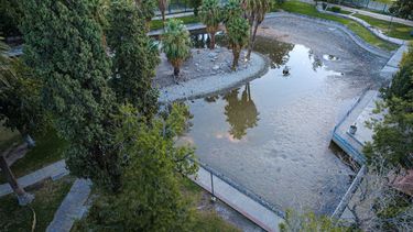 Obras en el lago del Parque de Mayo: casi sin agua, cercado y solo con algunos patos