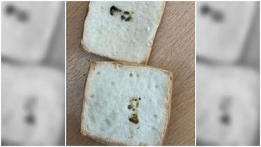 Denunció que una panadería sanjuanina le vendió una tortita con caca de rata