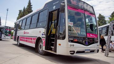 Colores que hablan: mirá cómo serán los colectivos que se vienen en 2021 en San Juan