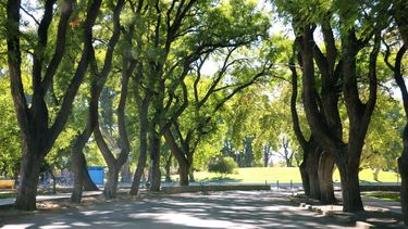 Sacá la mesa afuera: mirá cómo estará el clima este domingo