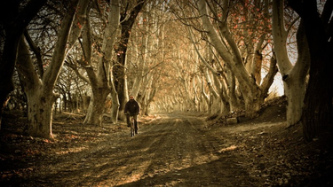 Las características poco conocidas de Zonda, en el día de su aniversario.