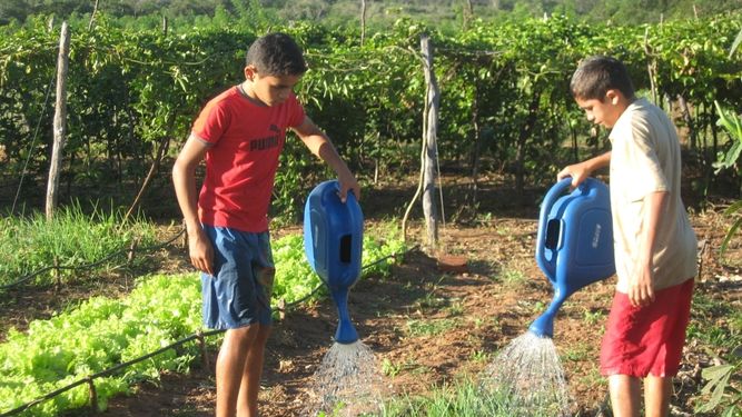 Desde informática hasta oficios, los proyectos ganadores de Iniciativas Sustentables