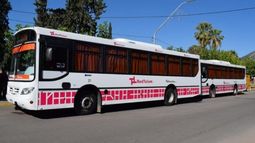 Por la suspensión del desfile del 25 de Mayo, la actividad de la Red Tulum será normal