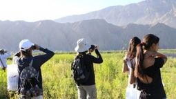 Tras la suspensión del fin de semana XL, el sector turístico de San Juan sale a pedir ayuda