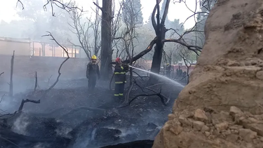 tras el incendio en capital, desde el restobar afectado dijeron que la mugre era terrible en un baldio vecino tras el incendio en capital, desde el restobar afectado dijeron que la mugre era terrible en un baldio vecino