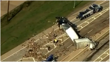 Un camión volcó y volaron cajas con juguetes muy particulares: ¿qué había?