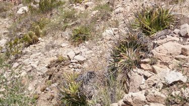 Estuvo perdido 24 horas en el cerro y tuvo que ser rescatado Estuvo perdido 24 horas en el cerro y tuvo que ser rescatado