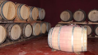 Nueva comisión directiva en el Consejo de Enólogos