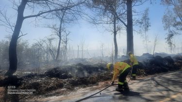 Bomberos voluntarios de Zonda se emplearon a fondo para controlar el incendio