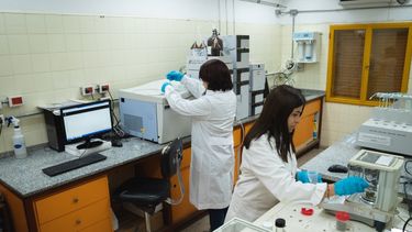 Con los laboratorios se busca certificar los más altos estándares científicos y médicos de cannabis medicinal.