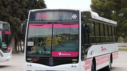 Red Tulum: ya hay fecha para lanzar el GPS en cada colectivo