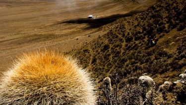 Comenzó FESTECA, el multievento que fomenta la cultura sustentable