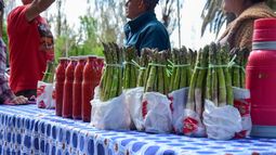 ¡El boom del fin de semana!: familias disfrutaron en Médano de Oro la Fiesta del Espárrago y el Alcaucil