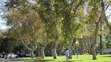 ¿Soleado pero frío? Así estará el tiempo del viernes en San Juan