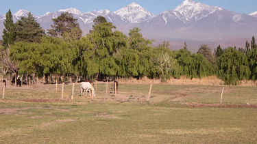 Los dueños de 404 mil hectáreas de Calingasta, en el top 5 de mayores terratenientes de Argentina