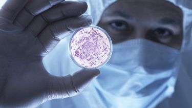 La resurrección de la sífilis