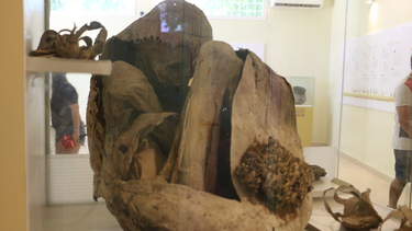 La impactante momia que se puede visitar en el Museo Arqueológico de Villa Calingasta.