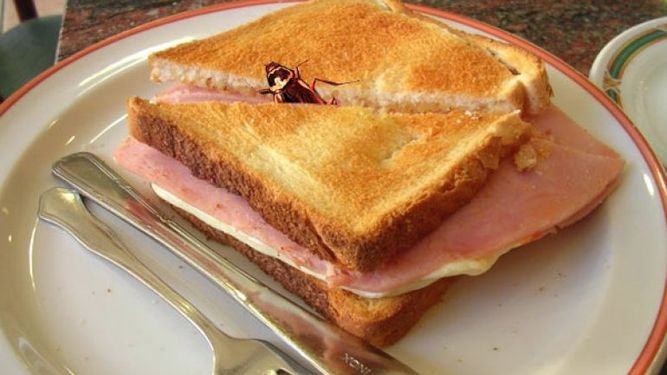 El gremio Gastronómico, a favor de difundir los locales donde encontraron cucarachas