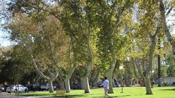 ¿Soleado pero frío? Así estará el tiempo del viernes en San Juan