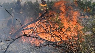 Los  incendios, la peor cara del verano en Europa